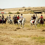 Excursiones a caballo