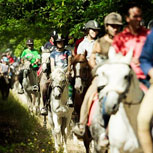 Excursiones a caballo